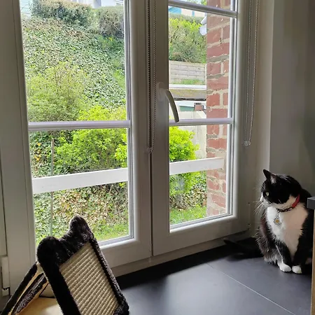 شقة 22- Augustine - Vue - Parking Gratuit- 4 Pattes Bienvenues - Ault Onival Woignarue