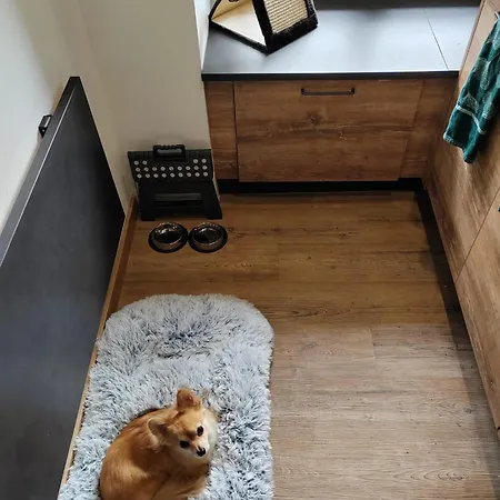 22- Augustine - Vue - Parking Gratuit- 4 Pattes Bienvenues - Ault Onival * Woignarue